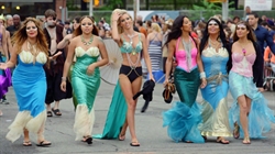 Mobbed Up Mermaids Mobbed Up Mermaids