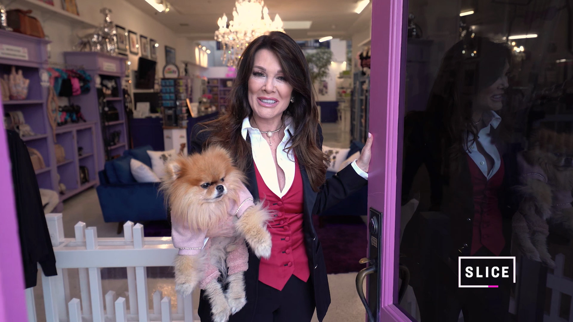 Vanderpump Dogs 'Vanderpump Dogs' First Look Trailer New Series